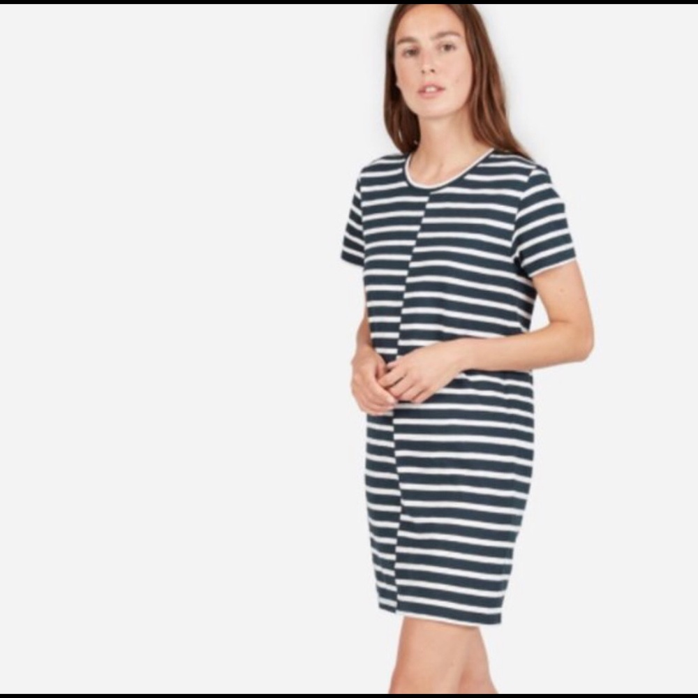 Everlane Striped Cotton Tee Dress